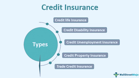Credit Insurance - What Is It, Benefits, Types, Examples, Costs